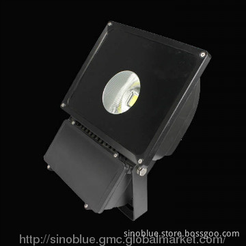 Meanwell driver ,70W LED Floodlight